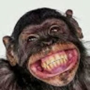 Meet your Posher, Bill